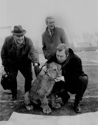 Schalke 04 - Bor. Dortmund 31.1.1970. Ein echter Löwe als seltener Besuch in der Schalker Glückauf-Kampfbahn. Hier mit Schalke Präsident Oskar Siebert.