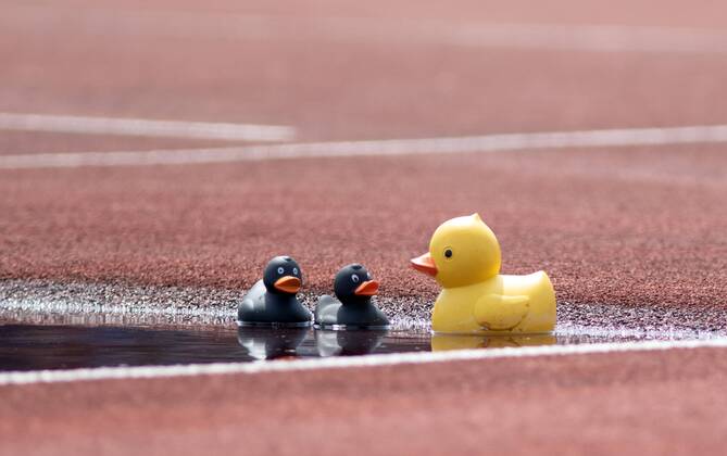 Sport Themen der Woche KW30 Sport Bilder des Tages Deutsche Jugend-Meisterschaften; Ulm, 26.07.2019 Impression: Entenfamilie im Wassergraben; Deutsche Jugend-Meisterschaften am 26.07.2019 im Donaustadion in Ulm (Baden-Wuerttemberg). Copyright: xBEAUTIFULxSPORTS R.xSchmittx