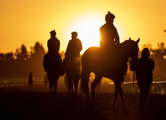 Bilder des Jahres 2019, Sport 10 Oktober October 28, 2019, Arcadia, California, USA: OCT 28: Breeders Cup Sprint entrant Shancelot, trained by Jorge Navarro, at Santa Anita Park in Arcadia, California on Oct 28, 2019. Eclipse Sportswire Breeders Cup CSM Horse Racing 2019: Breeders Cup Preparations OCT 28 - ZUMAcs17 20191028_zaf_cs17_038 Copyright: xEversx