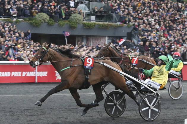 Bilder des Jahres 2020, Sport 01 Januar Sport Themen der Woche KW04 Sport Bilder des Tages Face Time Bourbon - Bjorn Goop - Davidson du Pont - Franck Ouvrie HIPPISME : Grand Prix d Amerique - Paris Vincennes - 26 01 2020 MichaelBaucher Panoramic 