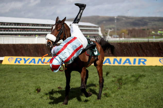 Bilder des Jahres 2020, Sport 03 März Sport Themen der Woche KW11 Sport Bilder des Tages 2020 Cheltenham Festival, Prestbury Park, Cheltenham, England 12 3 2020 Marsh Novices Chase Gavin Sheehan falls from Itchy Feet Gavin Sheehan falls from Itchy Feet 12 3 2020 Copyright: x INPHO DanxSheridanx DAN12733