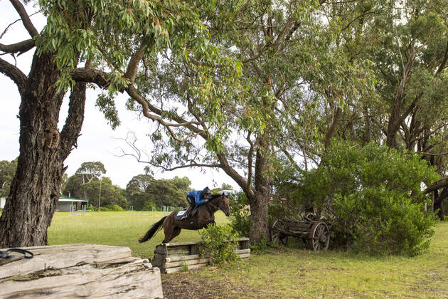 Bilder des Jahres 2020, Sport 04 April Sport Themen der Woche KW18 Sport Bilder der Tages RACING BARWON HEADS TRACKWORK, Champion jumps jockey Steven Pateman rides Siempro over the jumps during a trackwork session at Barwon Heads, Victoria, Monday, April 27, 2020. Steven Pateman will be riding at next weeks jumps meeting at Warrnambool.( NO ARCHIVING, EDITORIAL USE ONLY, NO USE IN BOOKS WITHOUT CONSENT MELBOURNE VIC AUSTRALIA  Copyright: xVINCExCALIGIURIx 20200427001465388878