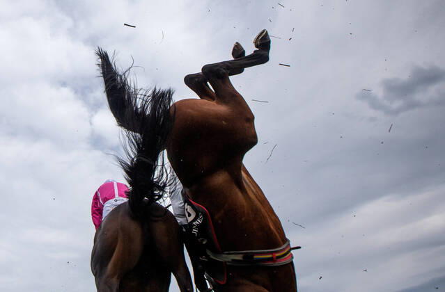 Bilder des Jahres 2020, Sport 07 Juli Sport Themen der Woche KW31 Sport Bilder des Tages 2020 Galway Racing Festival Day 4, Ballybrit, Galway 30 7 2020 The Rockshore Novice Steeplechase (Grade 3) Kevin Brouder on Scheu Time jumps alongside the falling David Mullins on Russian Diamond Kevin Brouder on Scheu Time jumps alongside the falling David Mullins on Russian Diamond 30 7 2020  Copyright: x INPHO JamesxCrombiex INPH5850