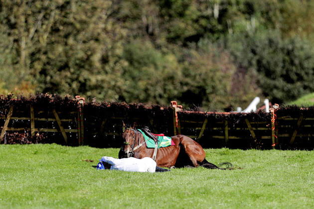 Bilder des Jahres 2020, Sport 09 September Sport Themen der Woche KW39 Sport Bilder des Tages Listowel Racing, Listowel Racecourse, Co. Kerry 23 9 2020 The Remembering Tommy McGivern Maiden Hurdle Donagh Meyler falls from Go Willie Joe Donagh Meyler falls from Go Willie Joe 23 9 2020  Copyright: x INPHO LaszloxGeczox LG1_0256