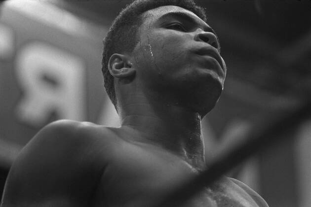 Muhammad ALI alias Cassius CLAY(USA, li.), Boxen, Schwergewicht, im Kampf gegen Karl MILDENBERGER, Deutschland, Portraet, Porträt, Portrait, Angeschnittenes Einzelbild, Einzelmotiv, mit Schweisstropfen, Aktion; Schwarzweissaufnahme, Qf.
