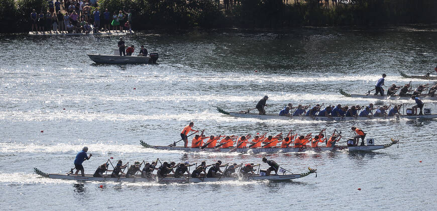 Drachenbootcup 2022 am Allersee Wolfsburg, Impresionen