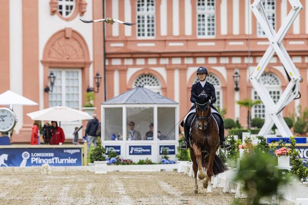 Bilder des Jahres 2024, Sport 05 Mai Sport Themen der Woche KW21 Sport Bilder des Tages WIESBADEN - Pfingstturnier 2024, WIESBADEN - Pfingstturnier 2024 MAYR Angelika (AUT), Frascati 74 DERBY Stars von Morgen CDN - Nat. Dressage competition S