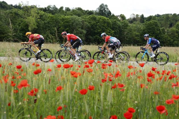 Bilder des Jahres 2024, Sport 06 Juni Sport Themen der Woche KW23 Sport Bilder des Tages Criterium du Dauphine 2024 - stage 6 ALLEVARD, FRANCE - JUNE 07 : Livyns Arjen (BEL) of Lotto Dstny, Gregoire Romain (FRA) of Groupama - FDJ, Fancellu Alessandro (ITA) of Q36.5 Pro Cycling Team, Guernalec Thibault (FRA) of Arkea - B&B Hotels, Hollyman Mason (GBR) of Israel - Premier Tech pictured during stage 6 of the 76th edition of the Criterium du Dauphine 2024 cycling race with start in Hauterives and finish after 173,2 km in Le Collet d Allevard on June 7, 2024 in Allevard, France, 07 06 2024 Allevard France Copyright: xJanxDexMeuleneirx