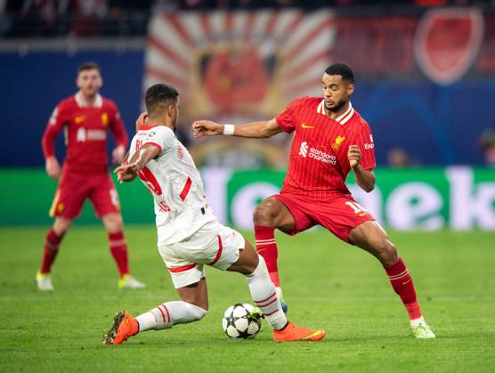 Fussball, Herren, Saison 2024 2025, Champions League (Ligaphase, 3. Spieltag), RB Leipzig - FC Liverpool, v.l. Benjamin Henrichs (RB Leipzig), Cody Gakpo (FC Liverpool), 23.10.2024, Copyright: xSebastianxRäppold MatthiasxKochx