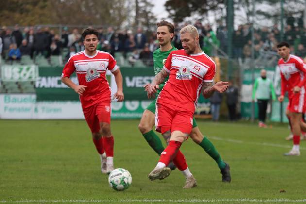 BSG Chemie Leipzig vs. Hallescher FC, Regionalliga Nordost, 02.11.24 Jan Löhmannsröben (6, Hallescher FC). Fußball, Regionalliga Nordost, Saison 2024 2025, 14. Spieltag: BSG Chemie Leipzig vs. Hallescher FC am 02.11.24 im Alfred-Kunze-Sportpark, Leipzig Leutzsch. Copyright: xBEAUTIFULxSPORTS JanxKaeferx