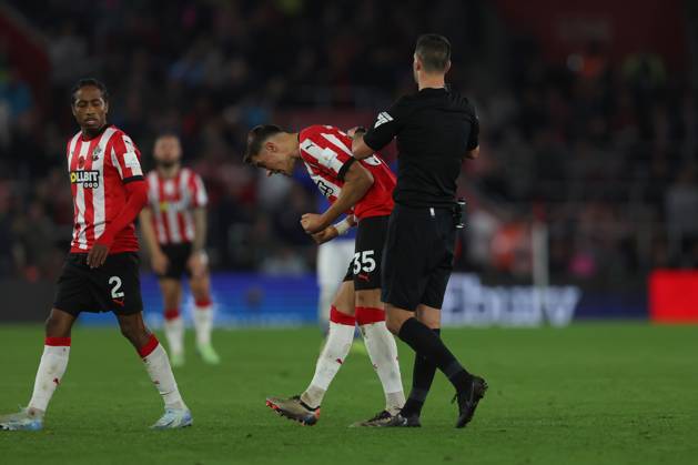 Football - 2024 2025 Premier League - Southampton vs Everton - St Mary™s Stadium - Saturday 2nd November 2024 Jan Bednarek of Southampton celebrates as Referee Mr Andy Madley gives the VAR verdict of offside for Evertons equaliser during the Premier League match at St Mary™s Stadium COLORSPORT Shaun Boggust