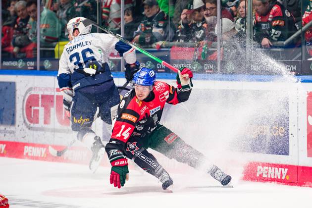 Bilder des Jahres 2024, Sport 11 November Sport Themen der Woche KW46 Sport Bilder des Tages Donald Busdeker (14, Augsburger Panther) im Hintergrund, Brandon Gormley (36, Iserlohn Roosters) beim Spiel Augsburger Panther v Iserlohn Roosters, Eishockey, Herren, Penny DEL 2024 2025, 17.Spieltag am 17.11.2024 in Augsburg, Curt-Frenzel-Stadion. Bayern Deutschland
