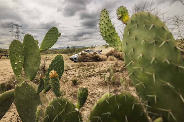 Bilder des Jahres 2025, Sport 03 März Sport Themen der Woche KW12 Sport Bilder des Tages AUTO - WRC, Motorsport Rallye, WM - SAFARI RALLY KENYA 2025 20 Oliver SOLBERG, Elliot EDMONDSON, Toyota Yaris Rally2, action during the 2025 Safari Rally Kenya, 3rd round of the 2025 WRC World Rally Car Championship, from March 20 to 23, 2025 at Nairobi, Kenya - NairobiKenya Copyright: xNikosxKatikisx