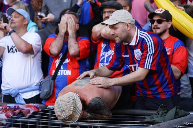 Crystal Palace v Manchester City 17 May 2025, London - FA Cup Final - Crystal Palace v Manchester City - Crystal Palace fans react as they wait for the final whistle - Photo: Jacques Feeney Offside. London UK Copyright: xJacquesxFeeneyx xOffsidexOffside