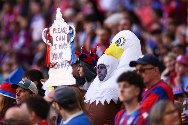 Crystal Palace v Manchester City 17 May 2025, London - FA Cup Final - Crystal Palace v Manchester City - A Palace fan dressed as an eagle - Photo: Jacques Feeney Offside. London UK Copyright: xJacquesxFeeneyx xOffsidexOffside