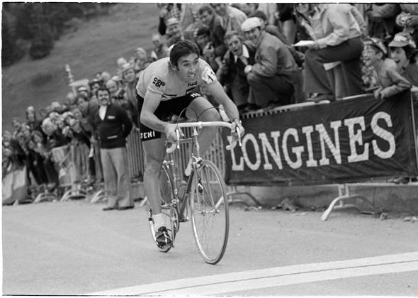 Tour de Suisse 1974: Overall winner Eddy Merckx Tour de Suisse 1974: Overall winner Eddy Merckx 23464160