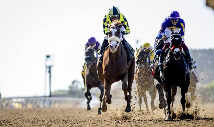 August 30, 2025, Del Mar, Ca, USA: Om N Joy (6) (outside) ridden by Kent Desormeaux wins the Torrey Pines Stakes (Grade 3) at Del Mar Thoroughbred Club in Del Mar, California on August 30, 2025. Eclipse Sportswire CSM Del Mar USA - ZUMAcs17 20250830_faf_cs17_016 Copyright: xNathanxKlinex