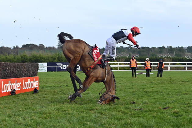 01.02.2026, Leopardstown, Dublin, IRL - Jimmy du Seuil and Patrick Mullins fall at the last obstacle during the Ladbrokes Chase. Both remain uninjured. Leopardstown racecourse. (Pferd, Jockey, Jimmy du Seuil, Mullins, Hindernis, Hindernisrennen, Jagdrennen, Steeple-Chase, Sturz, stuerzen, fallen, Gefahr, gefaehrlich, Verletzungsgefahr) 260201C609LEOPARDSTOWN.JPG