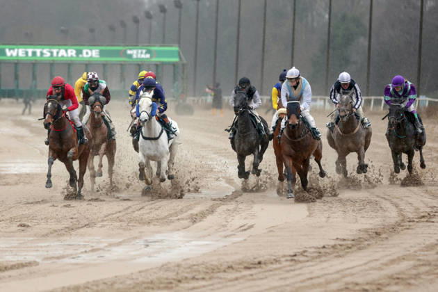 22.02.2026, Dortmund, Nordrhein-Westfalen, GER - Pferde und Jockeys im Rennen. Galopprennbahn Dortmund-Wambel. (Pferde, Jockeys, Sand, Sandbahn, Sandbahnrennen, Dirt, Dirttrack, Galopp, Galopprennsport, Pferderennsport, Pferderennen, Galopprennen, Doppelseite) 260222SG919DORTMUND.JPG