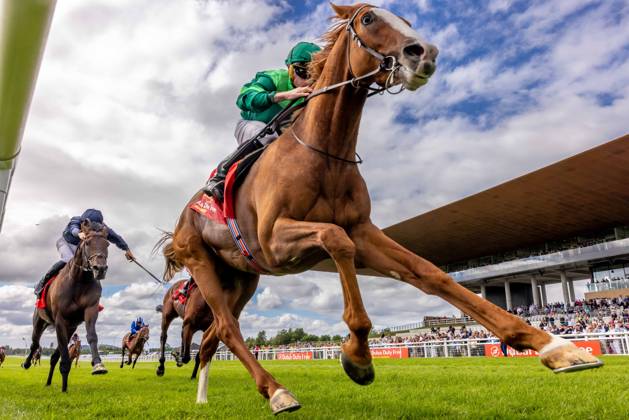 REPRO FREE *PRESS RELEASE NO REPRODUCTION FEE* EDITORIAL USE ONLY 2026 Dubai Duty Free Irish Derby Festival, Curragh Racecourse, Kildare 28 6 2026 Ryan Moore on Benvenuto Cellini wins The Dubai Duty Free Irish Derby (Group 1) Ryan Moore on Benvenuto Cellini 28 6 2026  Copyright: xx 2V7A1000