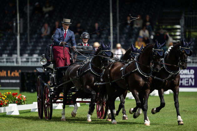 260821 Fredrik Persson of Sweden with horses Fasco, Hertog Jan, Judson and Kermit compete in the Four-in-Hand Dressage during day 11 of the 2026 FEI World Championships on August 21, 2026 in Aachen. Photo: Emma Wallskog BILDBYRAN kod EW EW0695 ridsport equestrian rid-vm 2026 2026 fei world championships bbeng ridsport-vm fyrspann drivning körning dressyr dressage four in hand Copyright: EMMAxWALLSKOG BB260821EW010
