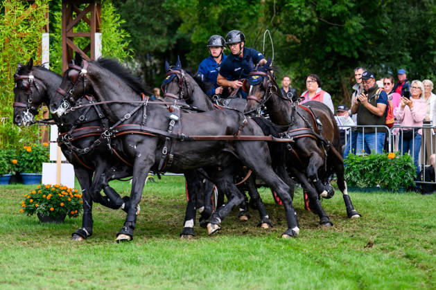 260822 Fredrik Persson of Sweden with horses Fasco, Hertog Jan, Judson and Kermit compete in the Four-in-Hand Marathon during day 12 of the 2026 FEI World Championships on August 22, 2026 in Aachen. Photo: Emma Wallskog BILDBYRAN kod EW EW0697 ridsport equestrian rid-vm 2026 2026 fei world championships bbeng ridsport-vm fyrspann drivning körning Copyright: EMMAxWALLSKOG BB260822EW016