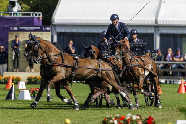 AACHEN - FEI World Championships 2026, AACHEN - FEI World Championships 2026 NAPROUS Daniel (GBR), Ippon, Jack, Lord P.C, Lyzander .V, Onno Stuntman Star Wars, Davinci Code, Games of Thrones and more FEI Driving World Championship, WM, Weltmeisterschaft Four-in-Hand Team & Individual Cones Kegelfahren Aachen, Reitstadion Soers 23. August 2026 -