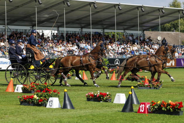 AACHEN - FEI World Championships 2026, AACHEN - FEI World Championships 2026 NAPROUS Daniel (GBR), Ippon, Jack, Lord P.C, Lyzander .V, Onno Stuntman Star Wars, Davinci Code, Games of Thrones and more FEI Driving World Championship, WM, Weltmeisterschaft Four-in-Hand Team & Individual Cones Kegelfahren Aachen, Reitstadion Soers 23. August 2026 -