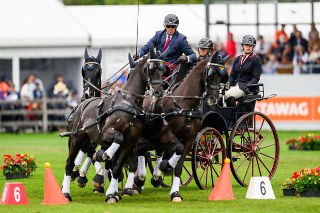 260823 Fredrik Persson of Sweden with horses Fasco, Kaptain, Judson and Kermit compete in the Four-in-Hand cones during day 13 of the 2026 FEI World Championships on August 23, 2026 in Aachen. Photo: Emma Wallskog BILDBYRAN kod EW EW0700 fyrspann drivning körning koner precision Copyright: EMMAxWALLSKOG BB260823EW010