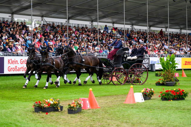 260823 Fredrik Persson of Sweden with horses Fasco, Kaptain, Judson and Kermit compete in the Four-in-Hand cones during day 13 of the 2026 FEI World Championships on August 23, 2026 in Aachen. Photo: Emma Wallskog BILDBYRAN kod EW EW0700 fyrspann drivning körning koner precision Copyright: EMMAxWALLSKOG BB260823EW014