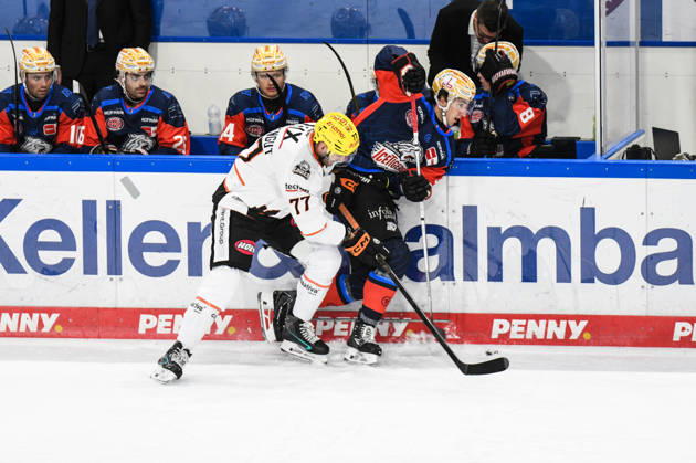 Nuernberg Ice Tigers vs. Loewen Frankfurt, Eishockey, Deutsche Eishockey Liga, Penny DEL, Vorbereitungsspiel, Gaeuboden Cup, Saison 2026 2027 am 23.08.2026 Jakob Weber (Nuernberg Ice Tigers), an der Bande mit Daniel Pfaffengut (Loewen Frankfurt), Eishockey Herren, Deutsche Eishockey Liga, Penny DEL, Vorbereitungsspiel, Gaeuboden Cup, Saison 2026 2027 am 23.08.2026 im Eisstadion am Pulverturm, Nuernberg Ice Tigers (blau) gegen Loewen Frankfurt (weiss)