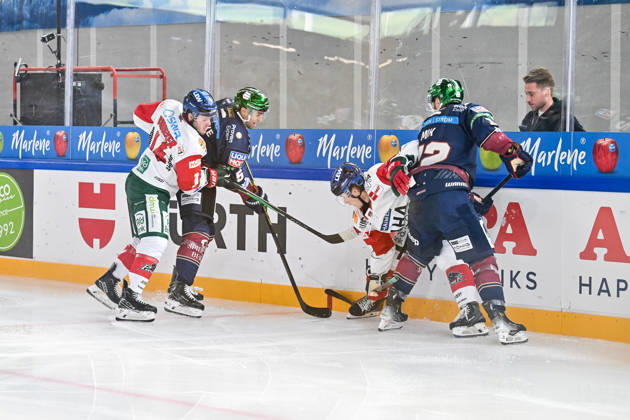 Dolomitencup 2026; Eisbären Berlin - Augsburger Panther; 23.08.2026 NEUMARKT, ITALY - 23. AUGUST: v. l. D. J. BUSDEKER (Augsburger Panther 14), Mitch REINKE (Eisbären Berlin 5), Jimmy LAMBERT (Augsburger Panther 23) und Eric MIC (Eisbären Berlin 12), während dem Testspiel zwischen den Eisbären Berlin und den Augsburger Panthern beim Dolomitencup in der Würth Arena Neumarkt Copyright: xBEAUTIFULxSPORTS Goldbergx