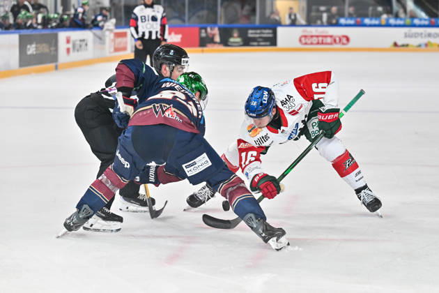 Dolomitencup 2026; Eisbären Berlin - Augsburger Panther; 23.08.2026 NEUMARKT, ITALY - 23. AUGUST: im Duell beim Bully Manuel WIEDERER (Eisbären Berlin 21) und Cameron WRIGHT (Augsburger Panther 16) während dem Testspiel zwischen den Eisbären Berlin und den Augsburger Panthern beim Dolomitencup in der Würth Arena Neumarkt Copyright: xBEAUTIFULxSPORTS Goldbergx