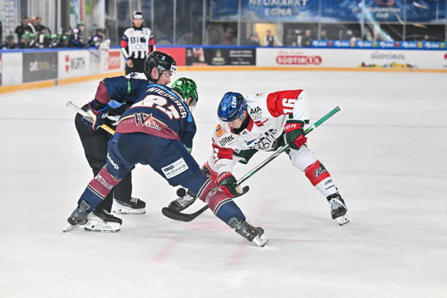 Dolomitencup 2026; Eisbären Berlin - Augsburger Panther; 23.08.2026 NEUMARKT, ITALY - 23. AUGUST: im Duell beim Bully Manuel WIEDERER (Eisbären Berlin 21) und Cameron WRIGHT (Augsburger Panther 16) während dem Testspiel zwischen den Eisbären Berlin und den Augsburger Panthern beim Dolomitencup in der Würth Arena Neumarkt Copyright: xBEAUTIFULxSPORTS Goldbergx