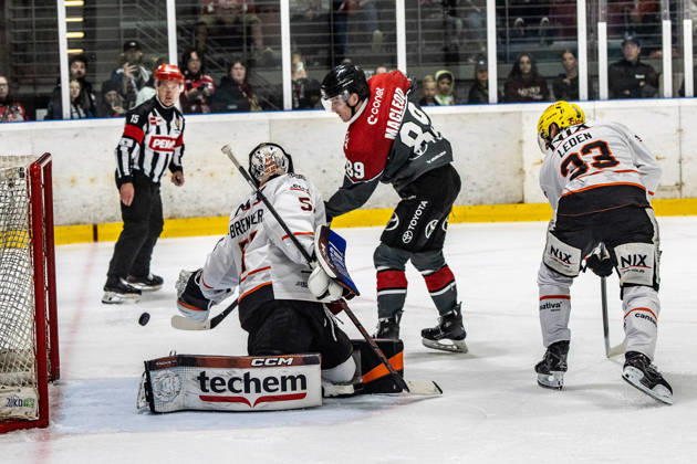 Gregor MacLeod (Koelner Haie, 89) bei seinem Tor zum 3:1 vs Cody Brenner (Loewen Frankfurt, 51) Koelner Haie vs. Dresdner Eisloewen, Eishockey, Penny DEL, Spieltag 19, 2025 2026, 16.11.2025 Koelner Haie (KEC) vs. Dresdner Eisloewen, Eishockey, Penny DEL, Spieltag 19, 2025 2026, 16.11.2025 Koeln Copyright: xEibner-Pressefoto GerhardxWingenderx EP_GWR