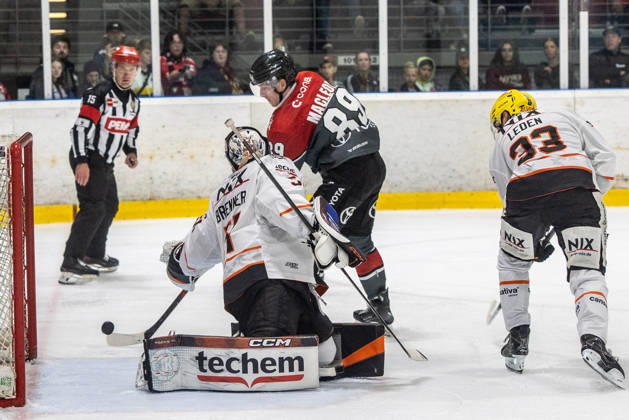 Tor vs Cody Brenner (Loewen Frankfurt, 51), Matej Leden (Loewen Frankfurt, 33) Gregor MacLeod (Koelner Haie, 89) beim Tor Koelner Haie vs. Dresdner Eisloewen, Eishockey, Penny DEL, Spieltag 19, 2025 2026, 16.11.2025 Koelner Haie (KEC) vs. Dresdner Eisloewen, Eishockey, Penny DEL, Spieltag 19, 2025 2026, 16.11.2025 Koeln Copyright: xEibner-Pressefoto GerhardxWingenderx EP_GWR