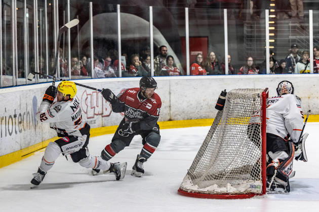 Maksim Matushkin (Loewen Frankfurt, 52) vs Frederik Storm (Koelner Haie, 19), Cody Brenner (Loewen Frankfurt, 51) Koelner Haie vs. Dresdner Eisloewen, Eishockey, Penny DEL, Spieltag 19, 2025 2026, 16.11.2025 Koelner Haie (KEC) vs. Dresdner Eisloewen, Eishockey, Penny DEL, Spieltag 19, 2025 2026, 16.11.2025 Koeln Copyright: xEibner-Pressefoto GerhardxWingenderx EP_GWR