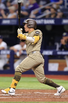 August 28, 2026, St. Petersburg, Florida, USA: San Diego Padres catcher Freddy Fermin (54) flies out to Tampa Bay Rays center fielder Cedric Mullins (31) during an MLB, Baseball Herren, USA game on August 28, 2026 at Tropicana Field. The Rays beat the Padres 9-4. St. Petersburg USA - ZUMAh180 20260828_zsp_h180_021 Copyright: xKimxHukarix