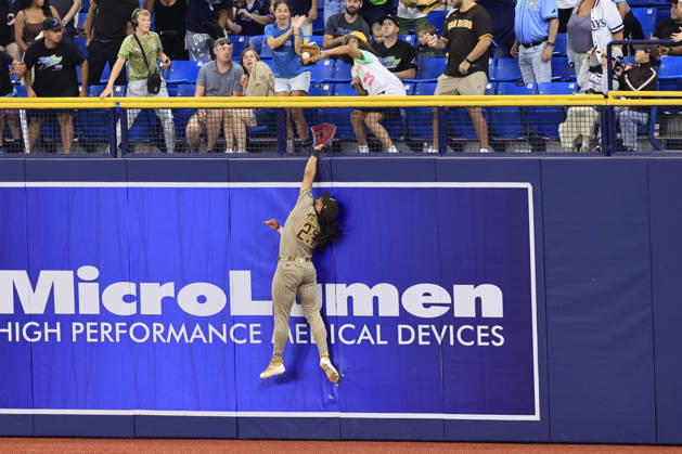 August 28, 2026, St. Petersburg, Florida, USA: San Diego Padres right fielder Fernando Tatis Jr. (23) leaps to catch a home run off the bat of Tampa Bay Rays center fielder Cedric Mullins (31) during an MLB, Baseball Herren, USA game on August 28, 2026 at Tropicana Field. The Rays beat the Padres 9-4. St. Petersburg USA - ZUMAh180 20260828_zsp_h180_046 Copyright: xKimxHukarix