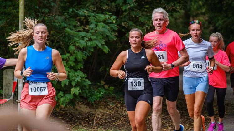 28. RWW-Ruhrauenlauf in Mülheim ** NUR FÜR REDAKTIONELLE ZWECKE ** EDITORIAL USE ONLY **<p>14:15 Uhr 5-km-Jogginglauf 28. RWW-Ruhrauenlauf in den Ruhrauen am Samstag, 29. August 2026 in Mülheim.¨ Deutschland NRW Mülheim Copyright: ChristophxWojtyczka