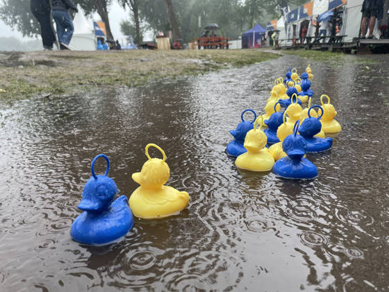 Amsterdam The Netherlands 29th August 2026 2026 World Rowing Championships on the Bosbaan in Amsterdam Nice weather for ducks. Rain pours down in Amsterdam. On the terrain of the World Championships rowing ducks bob up and down in a puddle.