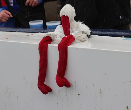 Fussball, Herren, Saison 2026 2027, 2.BL, Holstein Stadion, Holstein Kiel gegen 1.FC Nuernberg Der Storch DFL REGULATIONS PROHIBIT ANY USE OF PHOTOGRAPHS AS IMAGE SEQUENCES AND OR QUASI-VIDEO.