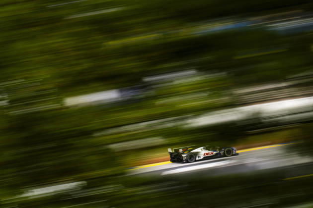 AUTO - IMSA - PETIT LE MANS 2026 10 ALBUQUERQUE Filipe (prt), STEVENS Will (gbr), TAYLOR Ricky (usa), Cadillac Wayne Taylor Racing, Cadillac V-Series.R, action during the 2026 Motul Petit Le Mans, 11th round of the 2026 IMSA WeatherTech SportsCar Championship, from October 1 to 3, 2026 on the Michelin Raceway Road Atlanta in Braselton, Georgia, United States of America - BraseltonUnited States Copyright: xFabrizioxBoldonix