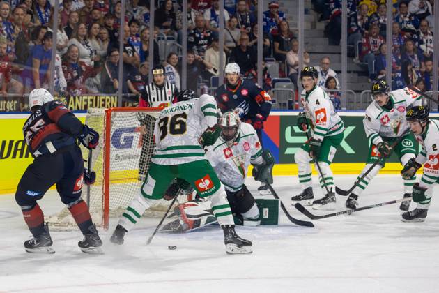 (Mannheim, Germany, 26 10 07) CHL (Champions Hockey League) 2026 27, Match day five: Adler Mannheim (Germany) vs. GKS Tychy (Poland) A lot of work for the Tychy defence Mannheim Baden-Wurttemberg Germany Copyright: xUdoxHerrmannx