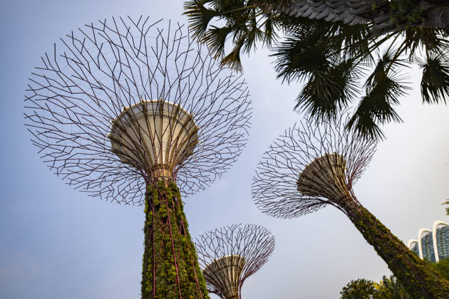 F1 - SINGAPORE GRAND PRIX 2026 Gardens by the Bay, ambiance during the 2026 Formula 1 Singapore Grand Prix, 17th round of the 2026 Formula One World Championship, WM, Weltmeisterschaft from October 9 to 11, 2026 on the Marina Bay Street Circuit, in Singapore, Singapore - SingaporeSingapore  Copyright: xJulienxDelfossex
