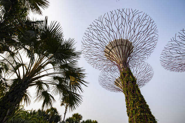F1 - SINGAPORE GRAND PRIX 2026 Gardens by the Bay, ambiance during the 2026 Formula 1 Singapore Grand Prix, 17th round of the 2026 Formula One World Championship, WM, Weltmeisterschaft from October 9 to 11, 2026 on the Marina Bay Street Circuit, in Singapore, Singapore - SingaporeSingapore Copyright: xJulienxDelfossex
