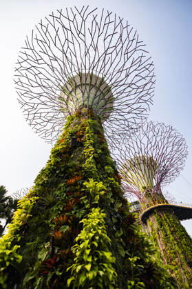 F1 - SINGAPORE GRAND PRIX 2026 Gardens by the Bay, ambiance during the 2026 Formula 1 Singapore Grand Prix, 17th round of the 2026 Formula One World Championship, WM, Weltmeisterschaft from October 9 to 11, 2026 on the Marina Bay Street Circuit, in Singapore, Singapore - SingaporeSingapore Copyright: xJulienxDelfossex