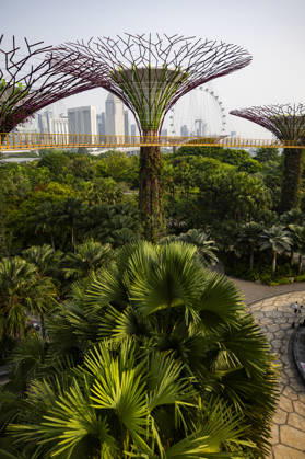 F1 - SINGAPORE GRAND PRIX 2026 Gardens by the Bay, ambiance during the 2026 Formula 1 Singapore Grand Prix, 17th round of the 2026 Formula One World Championship, WM, Weltmeisterschaft from October 9 to 11, 2026 on the Marina Bay Street Circuit, in Singapore, Singapore - SingaporeSingapore Copyright: xJulienxDelfossex