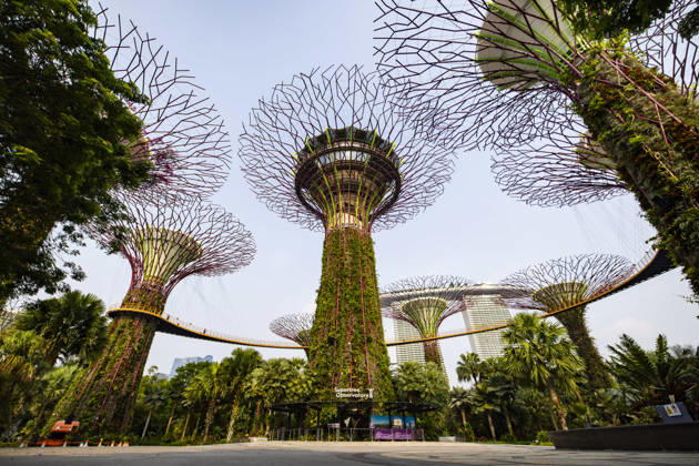 F1 - SINGAPORE GRAND PRIX 2026 Gardens by the Bay, ambiance during the 2026 Formula 1 Singapore Grand Prix, 17th round of the 2026 Formula One World Championship, WM, Weltmeisterschaft from October 9 to 11, 2026 on the Marina Bay Street Circuit, in Singapore, Singapore - SingaporeSingapore Copyright: xJulienxDelfossex