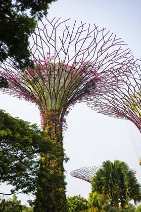 F1 - SINGAPORE GRAND PRIX 2026 Gardens by the Bay, ambiance during the 2026 Formula 1 Singapore Grand Prix, 17th round of the 2026 Formula One World Championship, WM, Weltmeisterschaft from October 9 to 11, 2026 on the Marina Bay Street Circuit, in Singapore, Singapore - SingaporeSingapore Copyright: xJulienxDelfossex